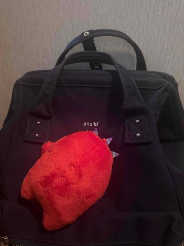 一緒に仕事行きたいらしい
(結局連れて行きました)