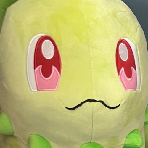 とうしんだいチコリータ
チコリータのなかでは 一番の 新入り。