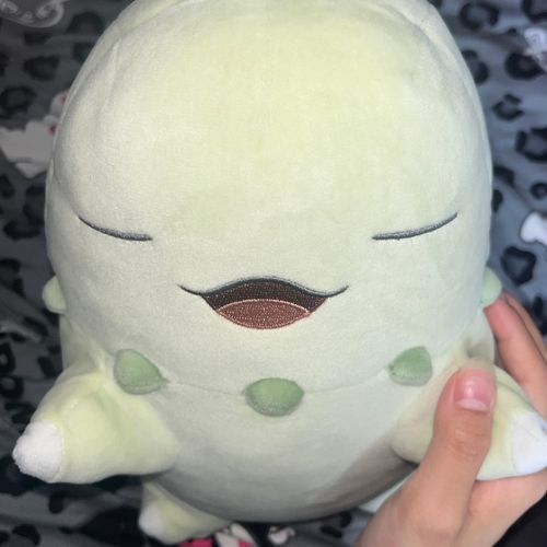 おやすみチコリータ
トレーナーと いつも一緒に 寝ている。 トレーナーの 安眠を サポートしている。 ベッドが 大好き