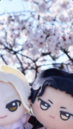 「桜」井兄弟…💕