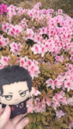 🐯ツツジの花なんて見て何になるんだ？