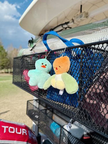 今日はゴルフだｯﾋﾟ🐥⸒⸒
ごしゅ初めてのゴルフ、下手くそすぎてずっと走って打ってを繰り返してたｯﾋﾟﾈ🐥⸒⸒
僕はﾁｭﾌﾟさんとカートで応援してたｯﾋﾟﾖ🌷🐥⸒⸒