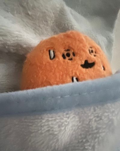(ガチ)遅めの起床