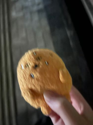 夜散歩や