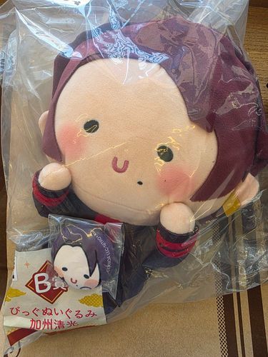 あるじがんばちゃんにちがうって言われてた。
かしゅうがいっぱいきてるんだって。