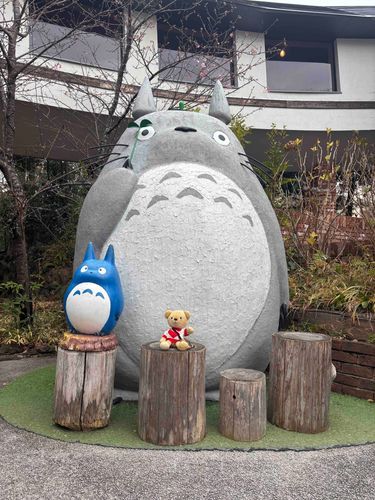 ほんとにトトロいたんだもん！🧸