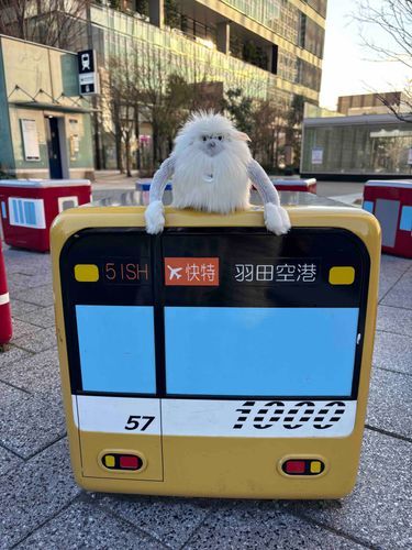 どうも、ノブオです
しあわせの黄色い電車に乗りました🚃