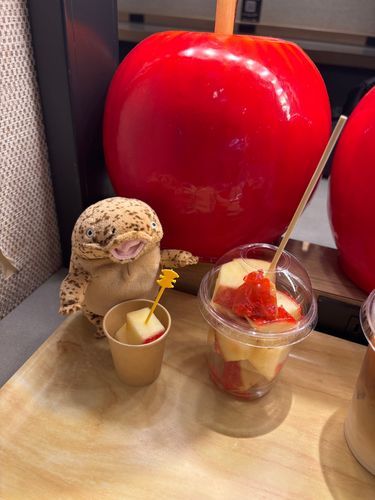 トメ子にも貰えた～🍎！(※ドリンクサービスです)
