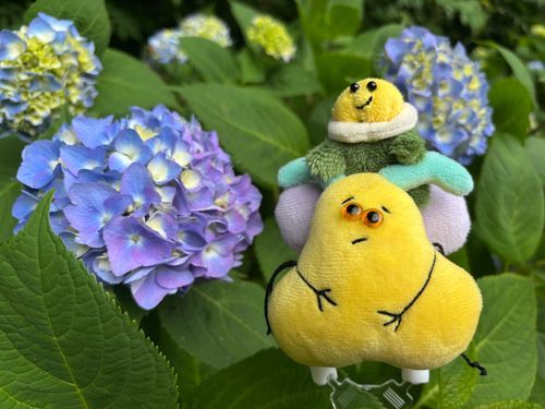 チャビーに新しいお花のお友達ができたよ🌼*･
せっかくだから乗せてあげる🦋.*˚