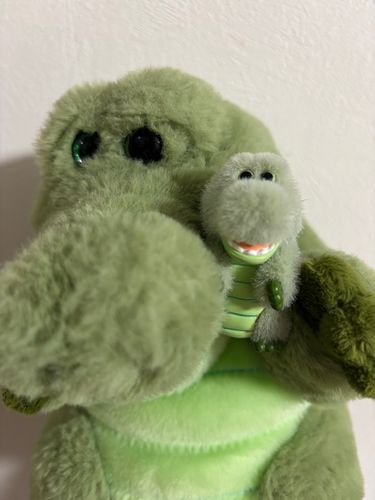 ぼくとぼく🐊