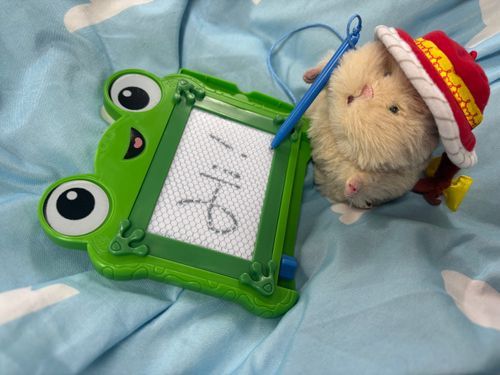 ぬいぐるみ用のいんすたぐらむ始めたらすっかりここの更新をわすれちゃって…いけないいけない、ちゃんとメモしとかなきゃ…✍️