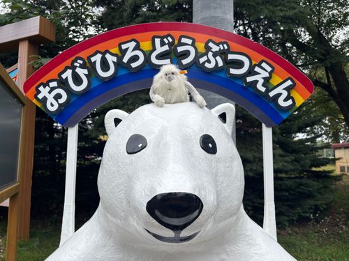 お久しぶりです、ノブオです
先日初めて北海道に行ってきました
寒いかと思いましたが東京とそんなに変わりませんでした
また行きたいです