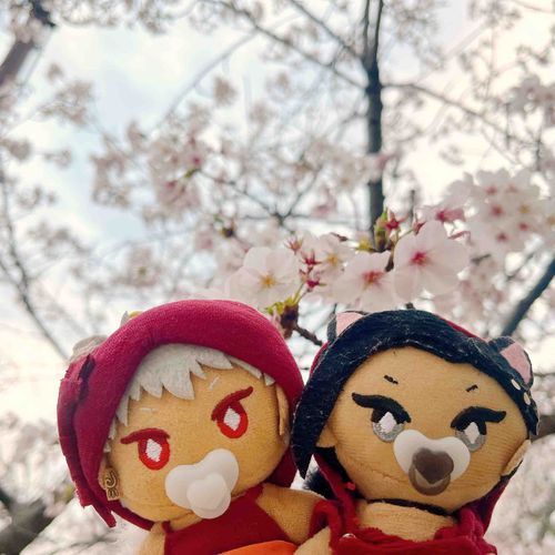 桜いっぱい咲いてるとこ連れてってもらったバブぬ