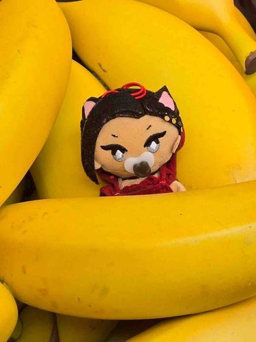 ばばなの妖精さんですか？🍌
