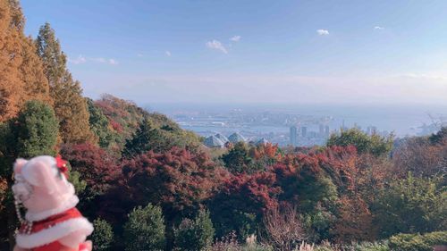 お山がきれいな色だね