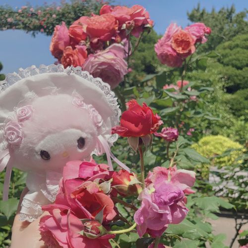 素敵な薔薇の庭園へ🎀