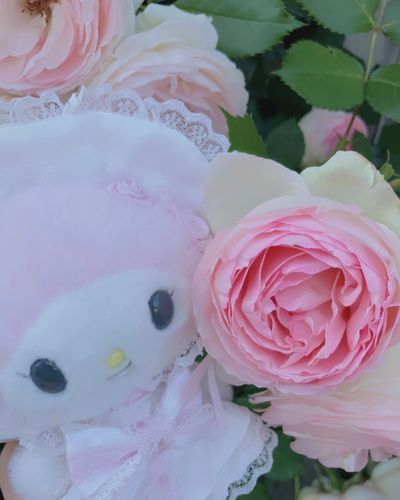 おそろいピンクの薔薇発見⸜( ◜◝ )⸝🩷