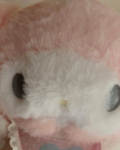 おはよう(  ¯꒳​¯ )ᐝ