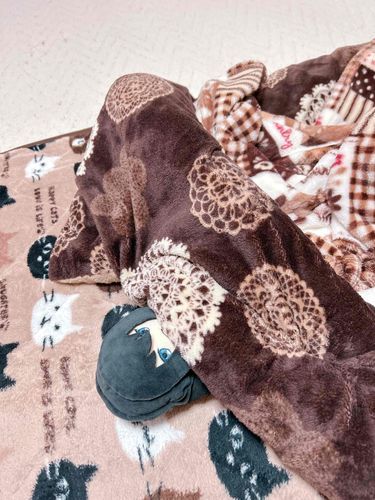 汎人類史の人間どもおはよー😊これ？これはこたつって言うものだよ。俺の虫竜体みたいに抜けられないんだよね〜…クソ…