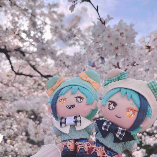 お花見🌸