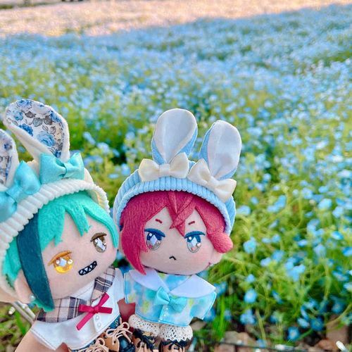 ネモフィラ💠