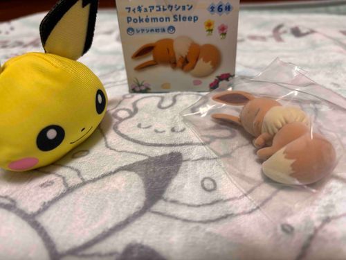 イーブイたんの寝姿
最高にかわいいね💛
今日からうちの子(  ´͈ ᵕ `͈ )♡
