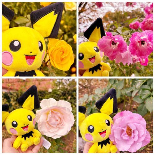 ピチューちゃんとバラフェア🌹へ行ってきました💛
