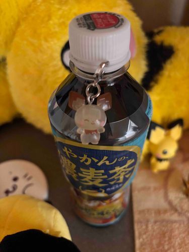めじるしアクセサリーのピチューちゃん💛
ガチャ|'ω')ﾉ⌒゜ﾎﾟｲｯ
ニコニコお顔かわいいね☺️