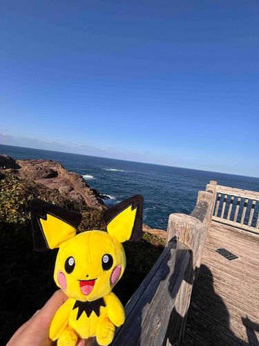 日本海をバックにピチューちゃん💛