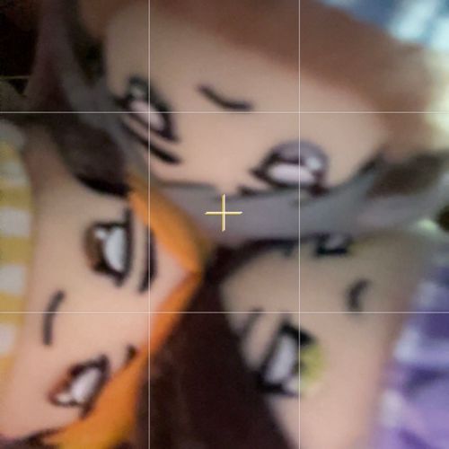 カメラで遊ぶﾁﾐたち