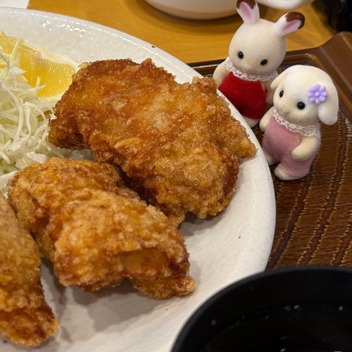 からあげおいしそうだね！