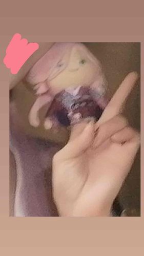 このまえあるじとしゃしんをとったあと「中指を立てているように見えるのではないか……」とそうだんされましたがしりませんよ