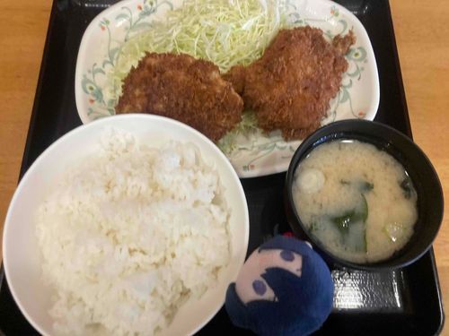 あるじのがっこうのちかくのちきんかつていしょく！ちきんがすじばってなかったしころももさくさくだったのでおすすめです