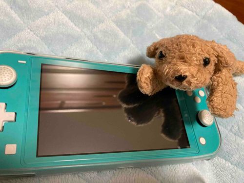 最近飼い主さんとゲームにハマってるﾜﾝ
モンハン女子ならぬモンハン犬ﾜﾝ🐶
#モンハンライズ
#ニンテンドー
#Switch Lite