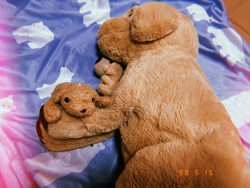 あっついーじめじめﾜﾝ🐶
お昼寝するﾜﾝ
