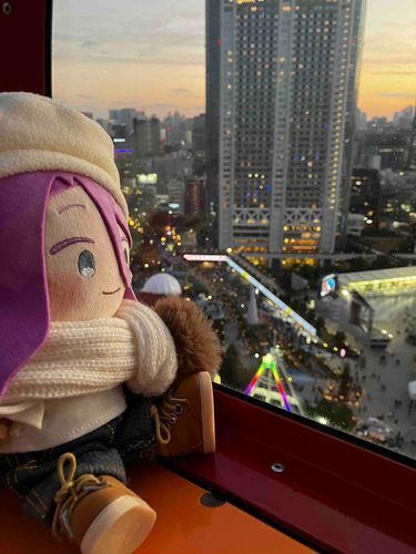 昨日、はじめて観覧車に乗ったんだ。夕焼けがとても綺麗だったよ