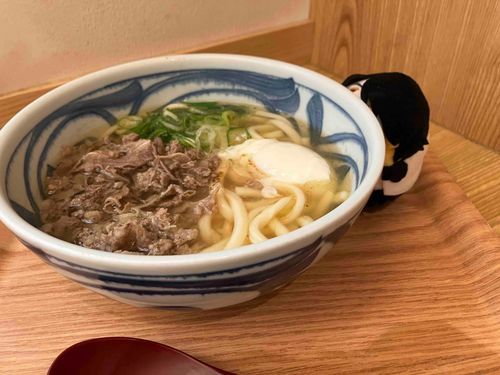 肉うどん！
