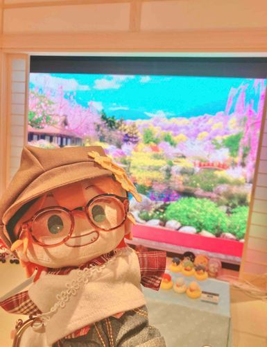 あるじさんが新しいポーチをくれたから少しお出かけしたよ〜！