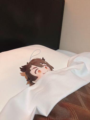 寝るぜよ〜💤