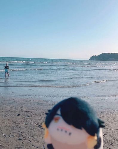 海に行ってきたぞ
