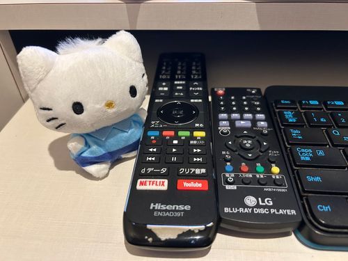 何が見たいですか？ﾐ・◦・ﾐ