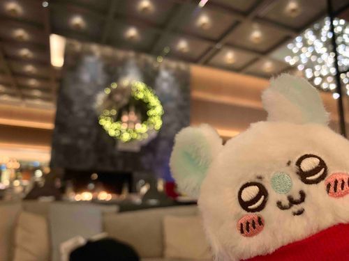おめかししてクリスマスアフタヌ〜ンに来たぞッ
緊張して写真これだけ…ワ〜オ…