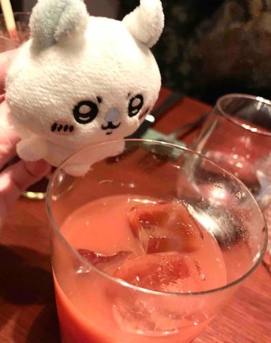 あけましておめでとう…も過ぎ…早すぎッ
挨拶遅くなったが みんな今年もよろしくだ〜ぞッ
昨日は "とくべつな日" だったからすこ〜しずつ 写真あげあげ