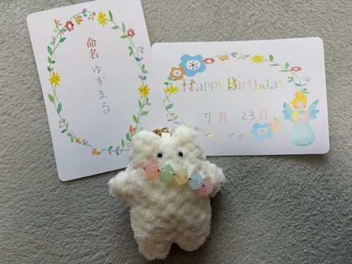 この子を今日お迎えしました( •̤ᴗ•̤ )♡
ずっといっしょだよ(*´ω`*)
