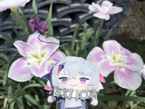 お花が3輪