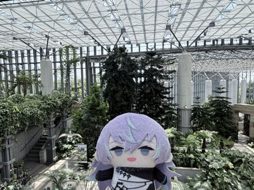 植物園たくさん連れ添いたい
