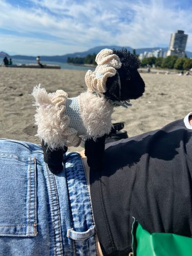 海！