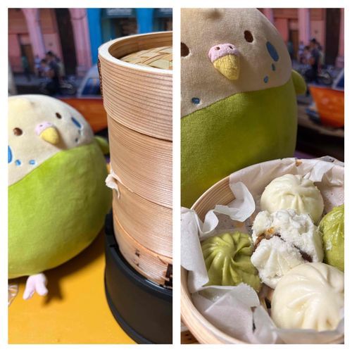 良い匂いにつられて近寄ったらアチチだったの。
ふたをとったらモワンと点心が出てきたの😲