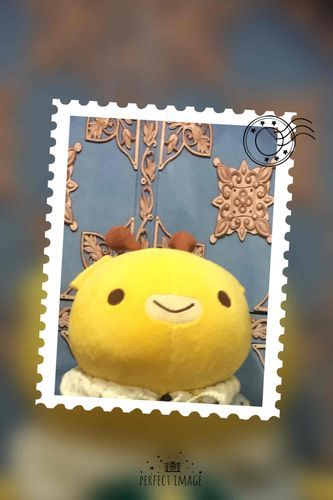 おはよう☀️おたねだよ🦒ぬいぐるみシェアハウスのドアを模様替えしてみたの🚪
