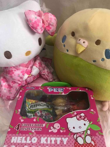 防災用にとっておいたお菓子、期限がとっくに過ぎてたの。
